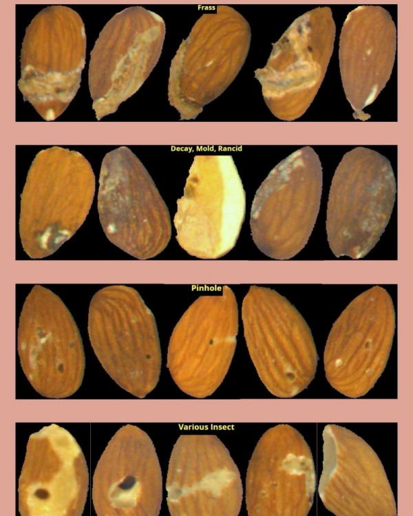 Frutos secos y productos secos a granel