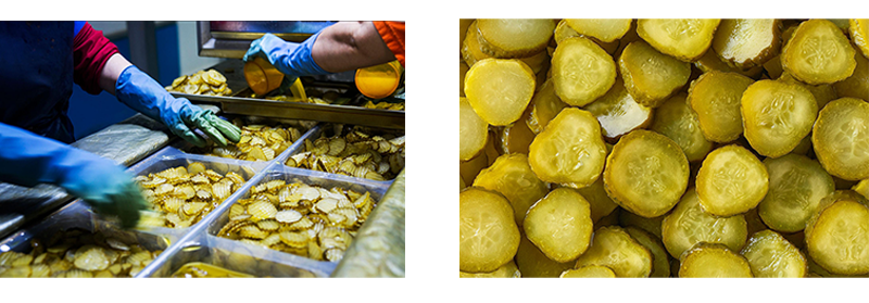 Rebanadas de pepino encurtido
